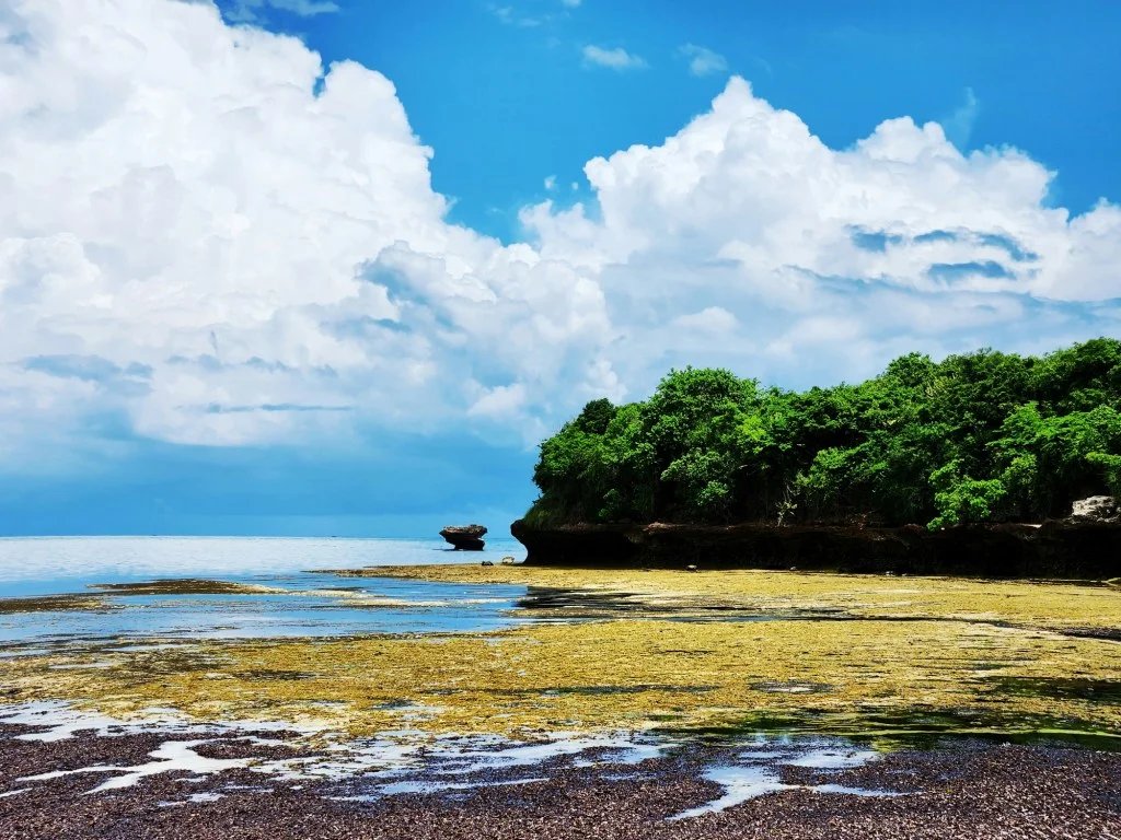 blog_img