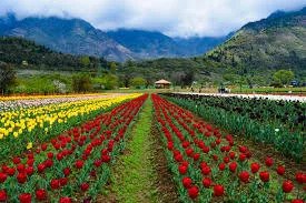 tour_image